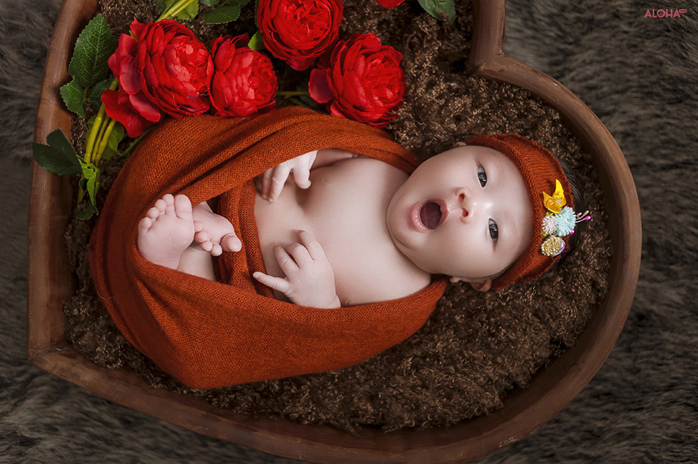 album ảnh newborn 26